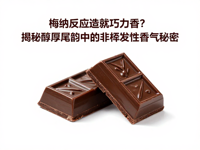 非挥发性香气载体与风味持久性的关联