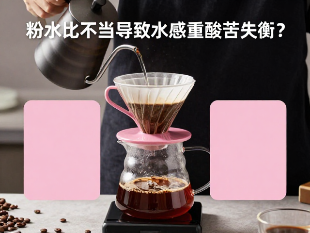 优化萃取环境与冲煮手法