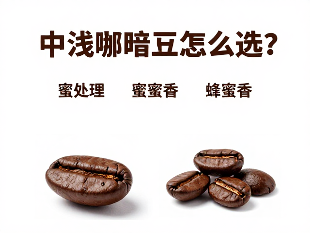 感官品鉴与风味特征解析