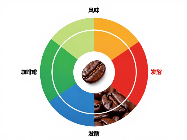 解析咖啡风味轮中的发酵维度