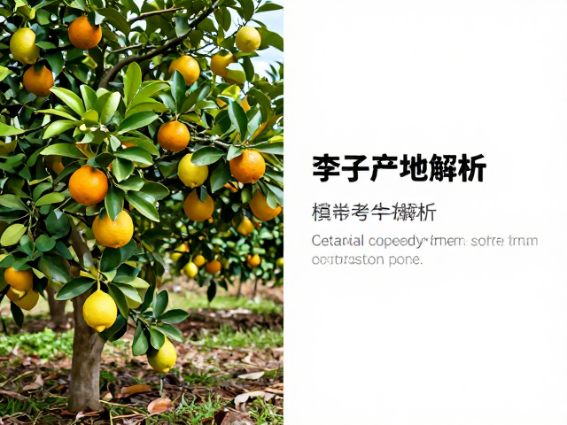 产地环境与品质关联分析