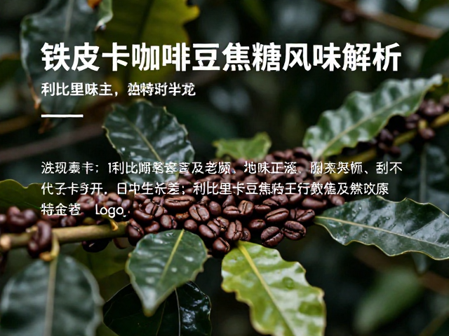 利比里卡咖啡豆的生物学背景与风味起源