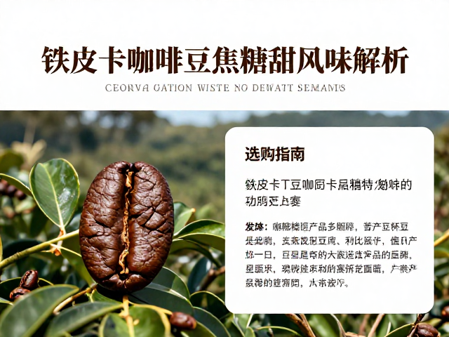 产地环境对风味表现的差异化影响