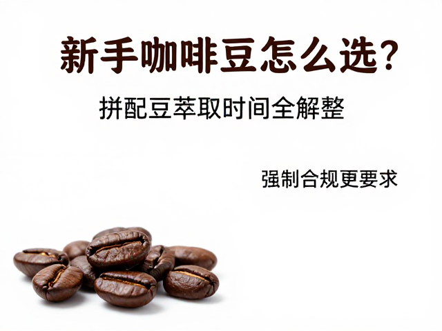 研磨度与萃取时间的协同调整