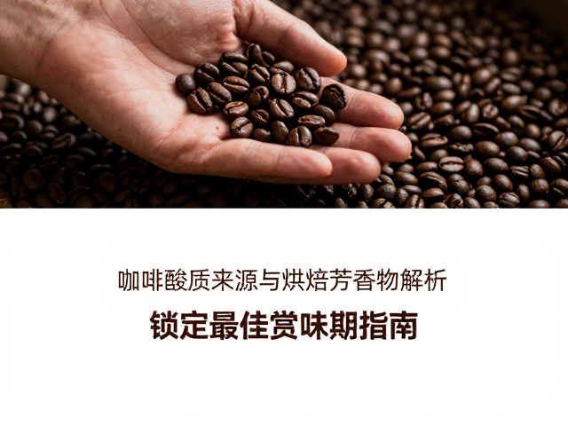 咖啡酸质来源与烘焙过程中的化学演变