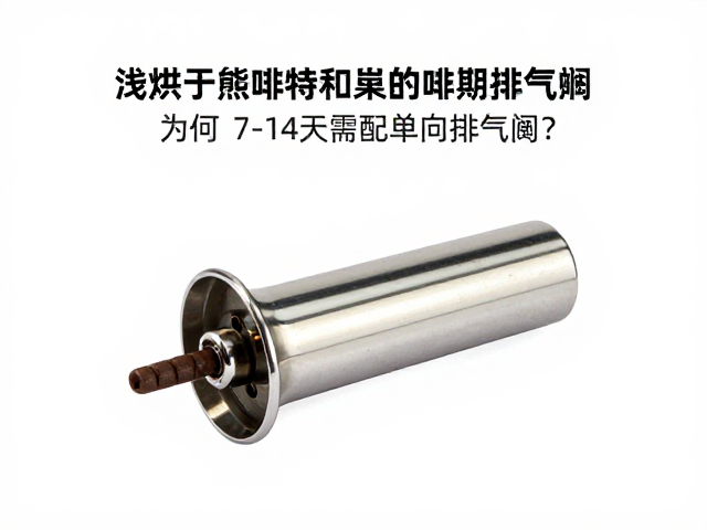单向排气阀的核心功能与必要性