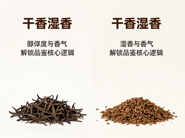香气层次与品鉴逻辑的交互验证