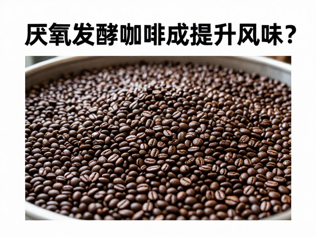工艺协同效应与最终杯测表现