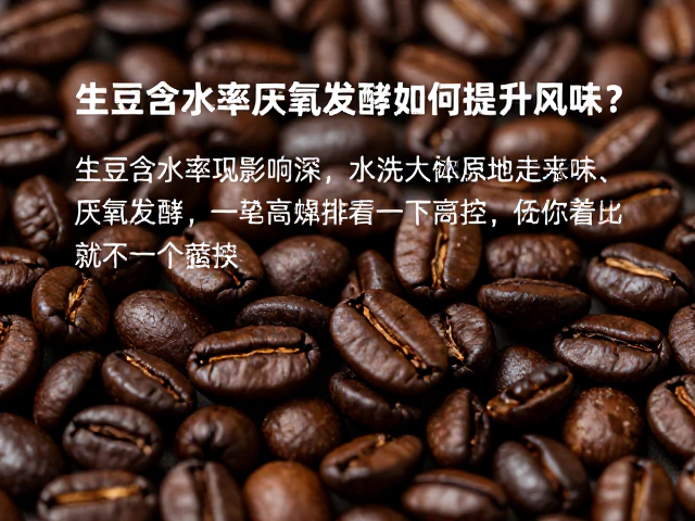 工艺参数对风味走向的调控