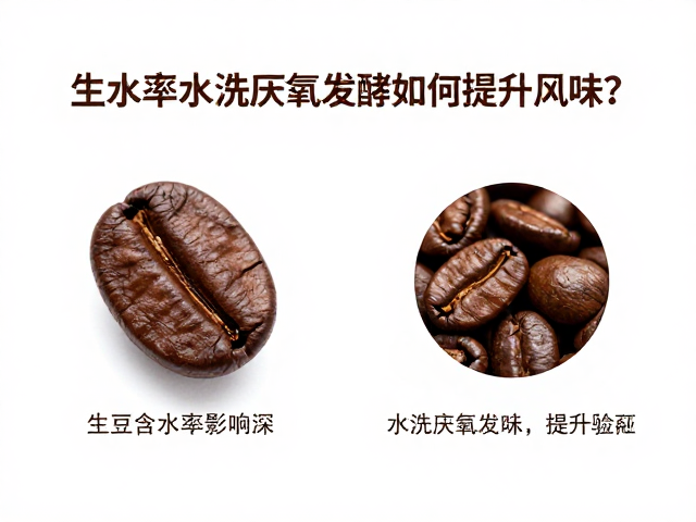 含水率与发酵风味的关联验证