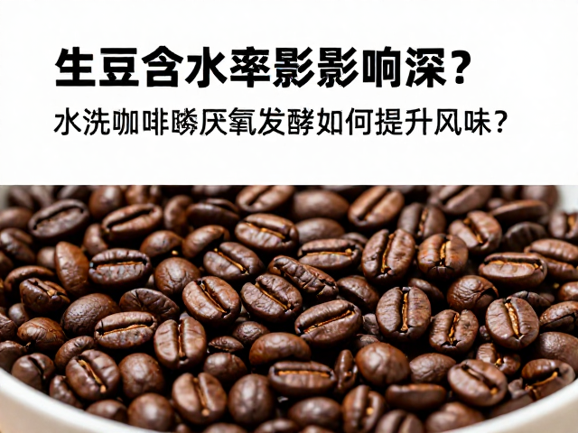 厌氧发酵的风味重构机制
