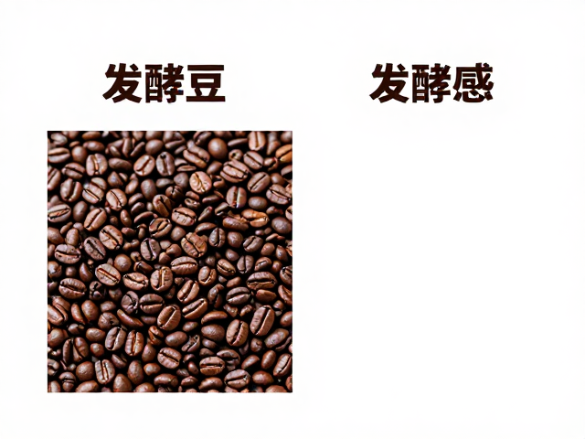 哥伦比亚咖啡豆的发酵工艺演变