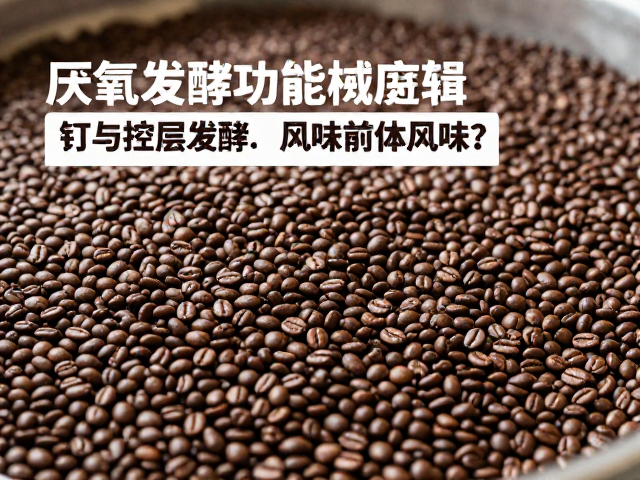 厌氧发酵的底层逻辑与风味前体转化