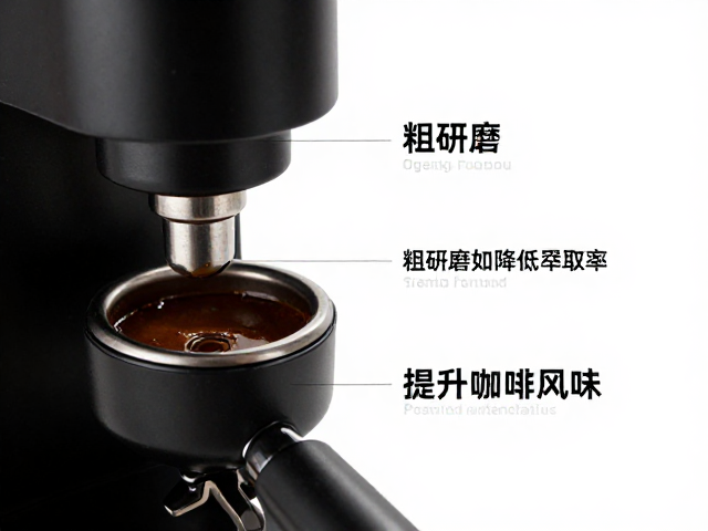 理解粗研磨对萃取动力学的影响