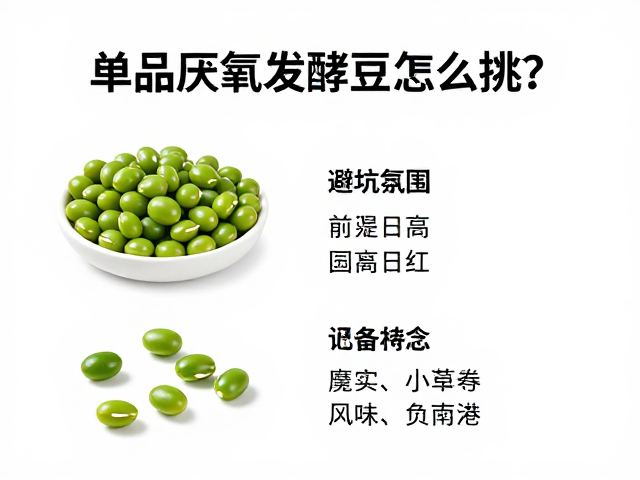 理解厌氧发酵的风味逻辑与常见误区