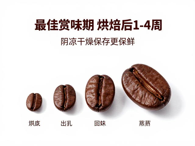 咖啡豆的风味演变与黄金窗口