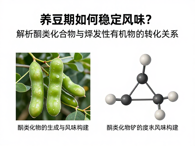 酮类化合物的生成与风味构建