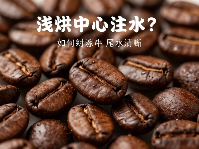 浅烘豆的风味特征与注水干扰机制
