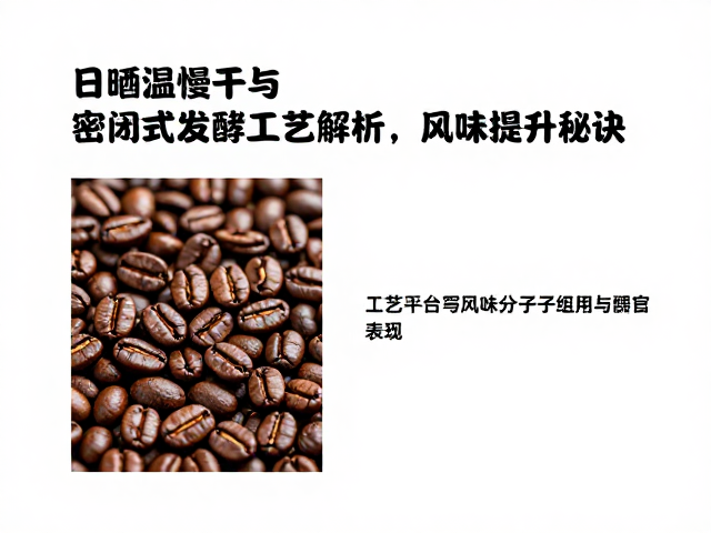 工艺耦合下的风味分子重组与感官表现