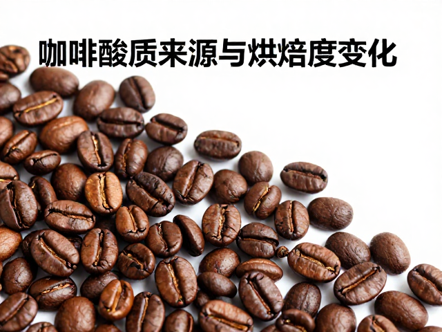 咖啡酸质的化学基础与生豆构成