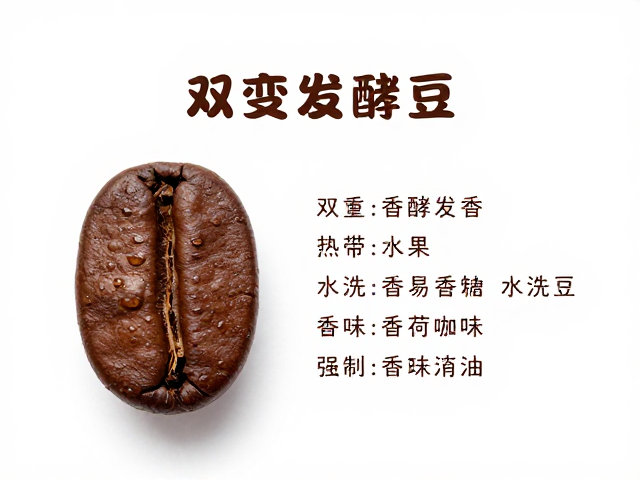 感官体验与冲泡建议