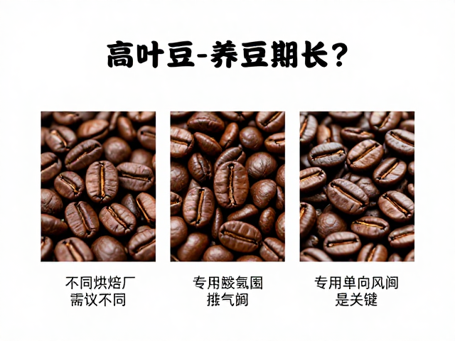 不同烘焙风格下的养豆建议差异