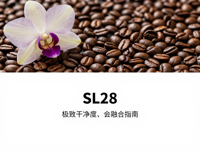生豆处理法对风味底色的影响