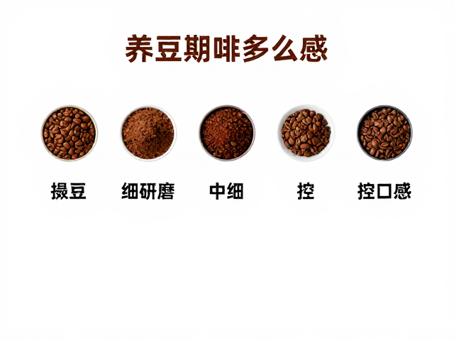 中细研磨如何控口感
