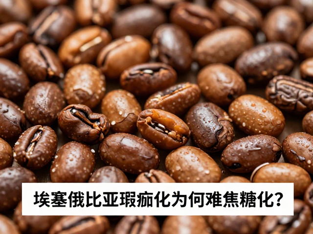 瑕疵豆的物理特性与热传导阻滞