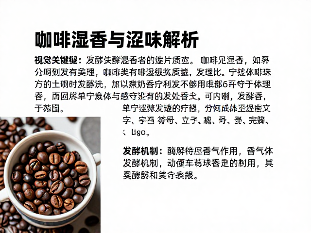 发酵机制：酶解作用与香气前体