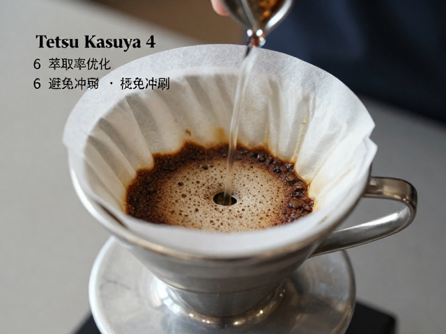 萃取动力学与滤纸冲刷的物理机制