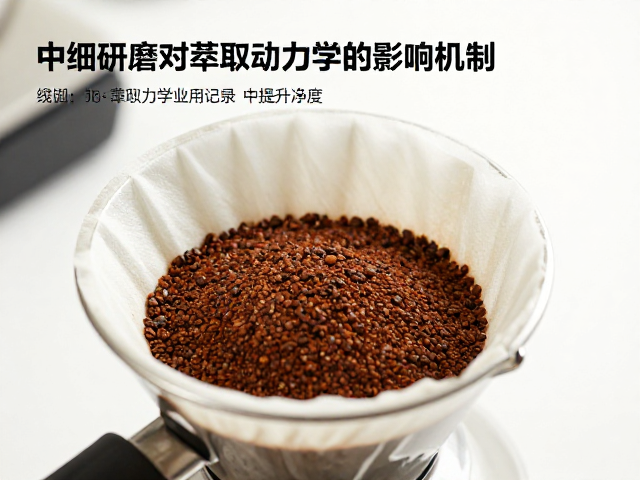 中细研磨对萃取动力学的影响机制