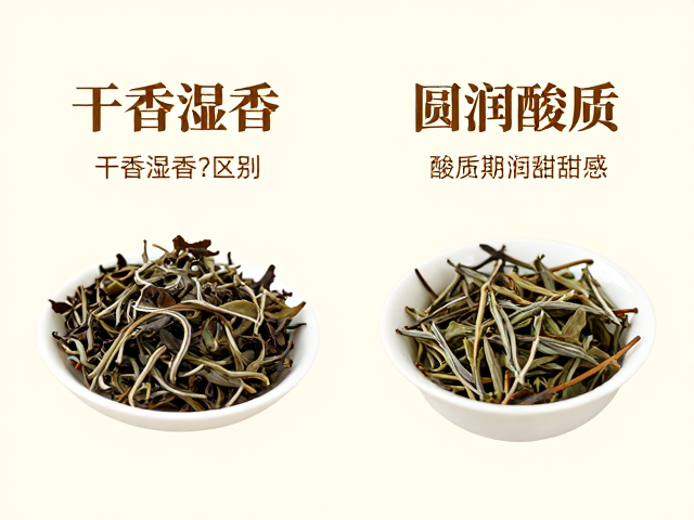 品鉴实践中的酸甜平衡观察
