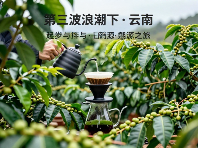 手冲技艺在云南的本土化生根