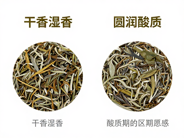 酸质的类型与感官界定