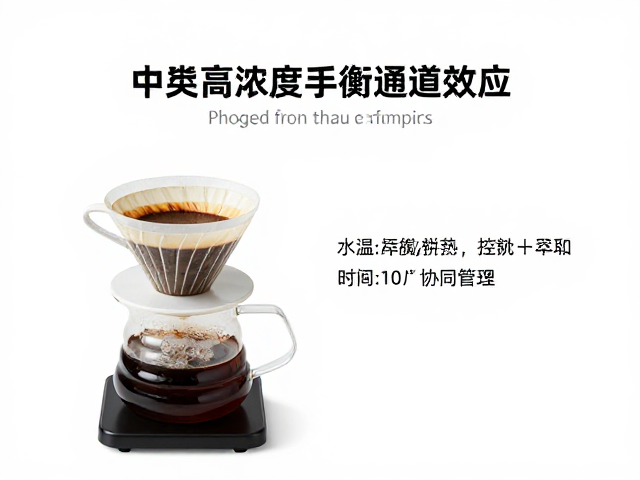 水温控制与萃取时间的协同管理
