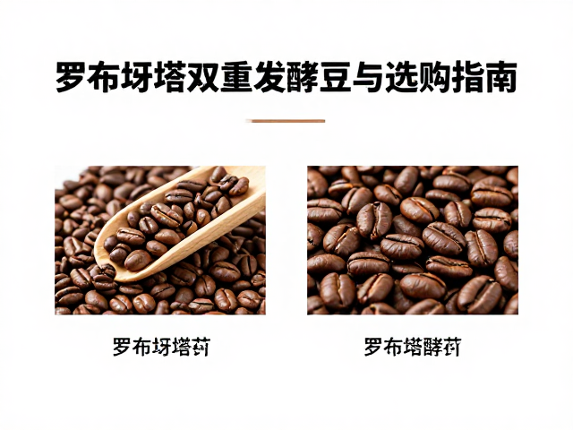 罗布斯塔豆的双重发酵工艺解析