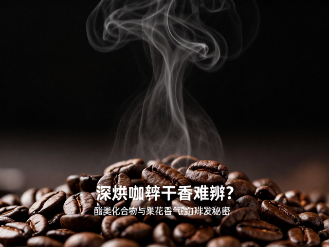 酯类化合物的挥发动力学