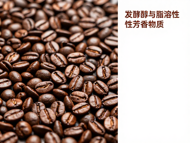 发酵程度与香气表现的协同效应