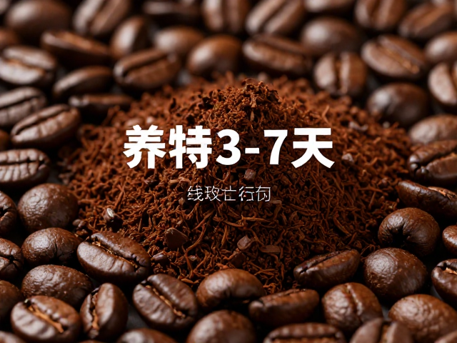 取出直接研磨对萃取动力学的影响