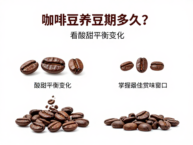 养豆期的科学定义与物理过程