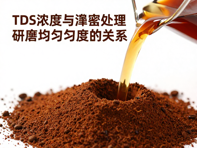 协同作用：均匀度与蜜处理特性的萃取优化
