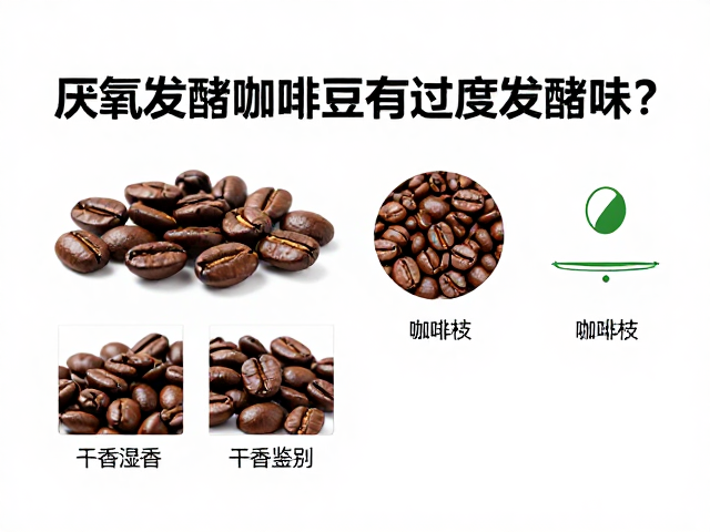 避坑指南：选购与品鉴的实操细节