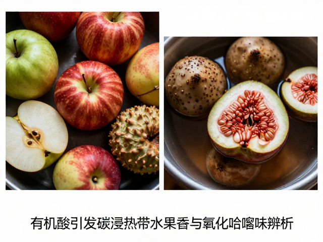 碳浸体系中香气与异味的竞争吸附与平衡