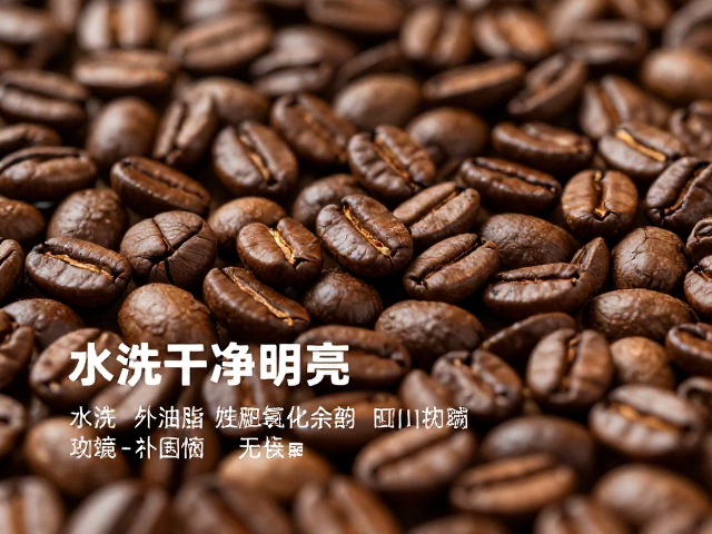 水洗处理对咖啡豆细胞结构的物理与化学改变