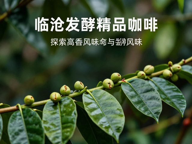 产区溯源与风味多样性的现实呈现