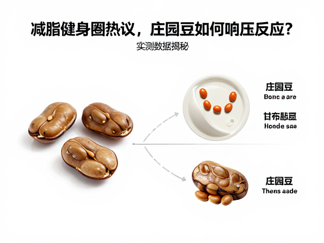 庄园豆的营养基质与生理机制解析