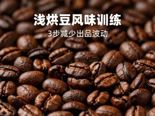理解浅烘豆的风味脆弱性与萃取逻辑