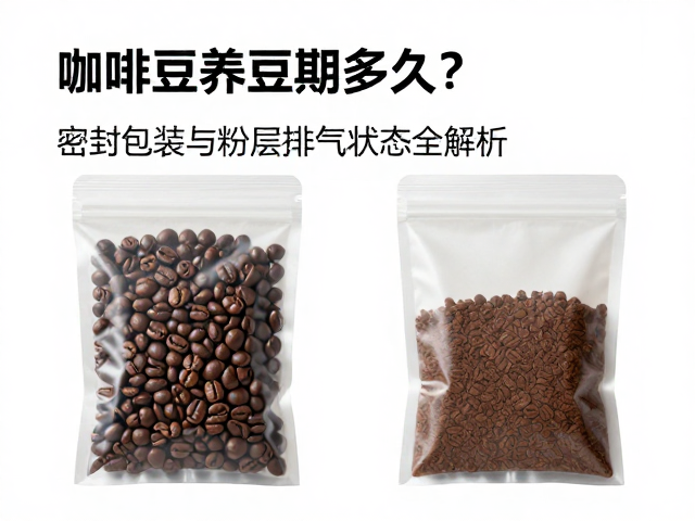 养豆期的科学定义与核心机制