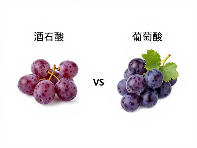 酸感构建中的协同效应分析